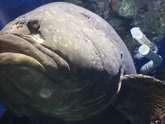 -泉州海丝野生动物世界