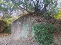 -草庵摩尼教遗址公园