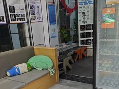 -pd派德宠物中心医院24H急重症·眼科中心·血液透析中心(嵩山北路店)