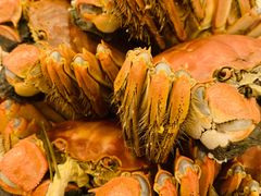 -王宝和酒家(黄浦店)