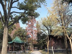 -荆州博物馆