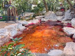 -湖泉半山温泉