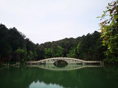 -铁山坪森林公园