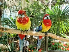 -大连森林动物园