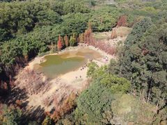 -番禺大夫山森林公园