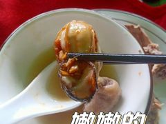 生蚝-花苑美食横琴生蚝火锅(拱北粤华路店)