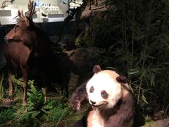 -四川大学博物馆