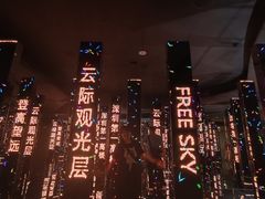 -平安金融中心云际观光层