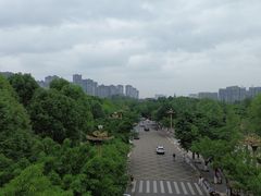 -眉山湿地公园(东坡区)