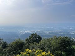 -南京老山国家森林公园