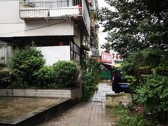 -左撇子私房面