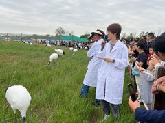 -盐城丹顶鹤湿地生态旅游区