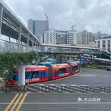 锦鲤天桥下超丰盛海鲜的锦鲤家海鲜鸡煲
