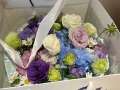 -齐玉齿科JADENTAL