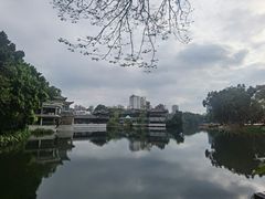 -荔湾湖公园