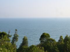 -广东惠东海龟国家级自然保护区