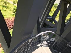 -芒洲湿地公园