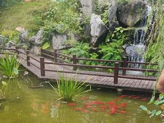 -耕渔小院·湖南鱼鲜(望城店)