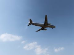 -空港花田景区