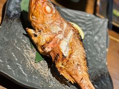 -一豚轩·烧鸟·豚骨拉面(五四路店)