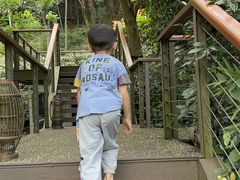 -杭州开元森泊度假乐园