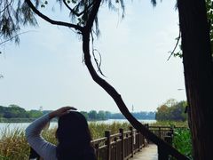 -东湖落雁景区