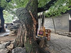 -承德避暑山庄景区