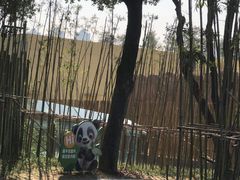 -武汉动物园
