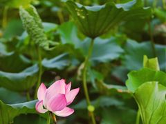 -北山街历史文化街区