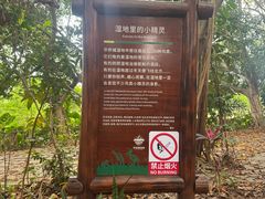 -华侨城湿地公园
