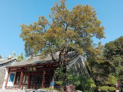 -柳侯公园