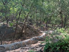 -阳台山自然风景区