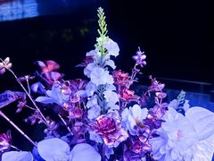 -欢乐迪KTV(南坪上海城店)