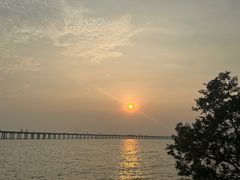 -宝安西湾红树林湿地公园