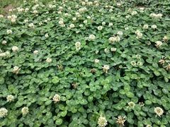 -阿斯牛牛·凉山菜(新会展店)