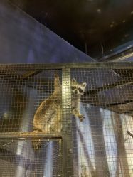 -酷嗒动物文化乐园(cutezoo西溪乐天城店)