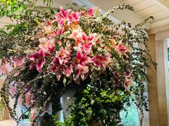-春暖花开(西溪店)