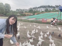 -秀丽东方