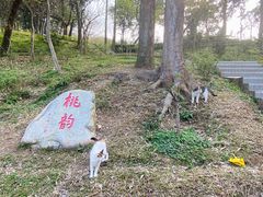 -桃花涧