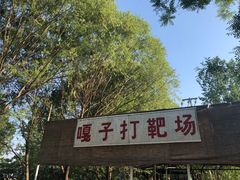 -白洋淀景区