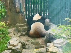 -大连森林动物园