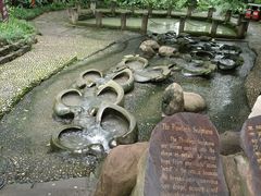 -成都市活水公园