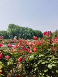 -盘子女人坊古装写真摄影(天津总店)