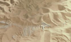 -恐龙探索乐园(磁器口店)