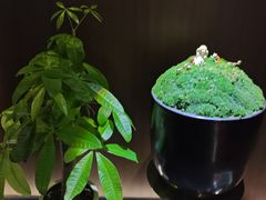 -大桶大足浴(山钢和润荟店)