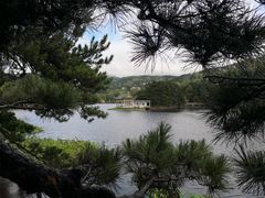 景点-庐山风景区花径公园