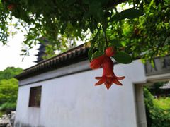 -常熟方塔园