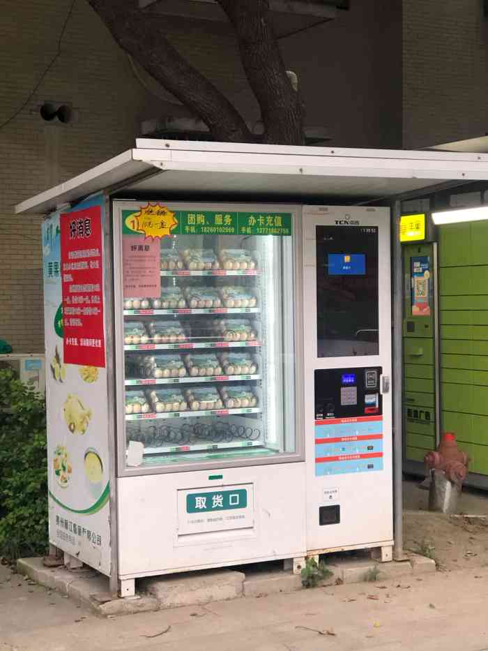 中吉原生態雞蛋自動販賣機-