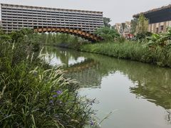 -江门古劳水乡旅游区