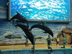 -福州罗源湾海洋世界旅游区